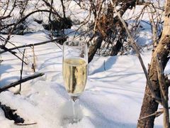 -亚布力新体委滑雪场