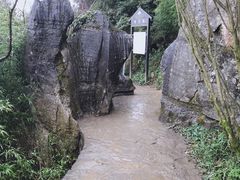 -梦幻奥陶纪景区