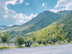 -东天目山风景区