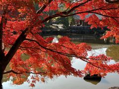 -奈良公园