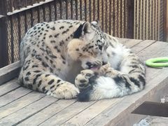 -青藏高原野生动物园
