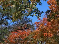 -北京西山国家森林公园