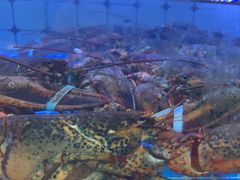 -日照大牌檔•小船海鲜(万平口店)