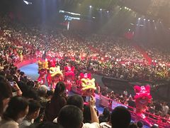 -广州长隆国际大马戏