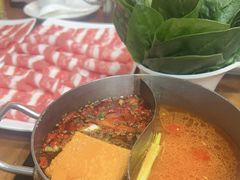 -重庆小天鹅(英雄山路店)