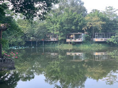 -老木棉·匠园
