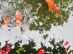 -老洋房花园饭店(绍兴路店)