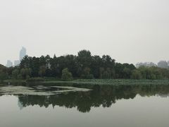 -月湖风景区