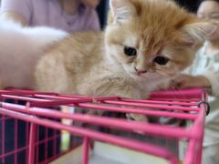 -万达广场(泰安泰山店)