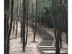 -火炉山森林公园