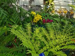 -国家植物园南园