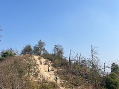 -长沙黑麋峰国家森林公园