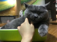 -藦茜花园宠物主题亲子互动体验馆(国顺东路店)