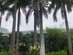 -深圳国际园林花卉博览园