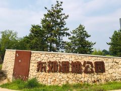-东郊湿地公园