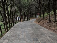 -泰山风景名胜区-普照寺