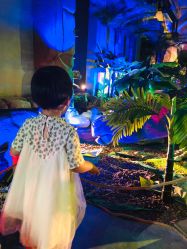 -恐龙探索乐园(磁器口店)