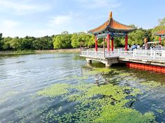 -长春市南湖公园