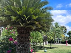 -三亚南山文化旅游区