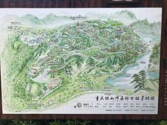 -铁山坪森林公园