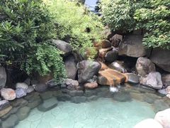 -金凤凰温泉度假村·凤凰汇中餐厅