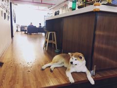 -YCHL Studios健身工作室(市二宫店)