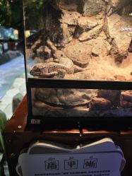 -酷嗒动物文化乐园(cutezoo西溪乐天城店)