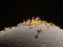 -深圳珠宝博物馆