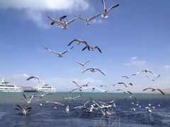 -青海湖国家重点风景名胜区