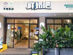 -乍甸乳业鲜奶吧(红河水乡店)