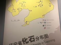 -辽宁古生物博物馆