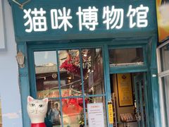 -猫咪博物馆(顶澳仔猫街店)