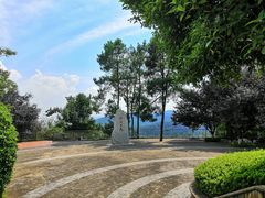 -铁山坪森林公园