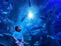 -成都浩海立方海洋公园