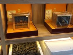 -宫品海参专卖店(静安大宁店)