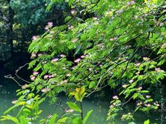 -杭州植物园