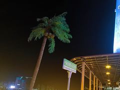 -时光码头民谣公社