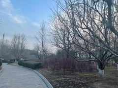 -春晖园度假酒店温泉