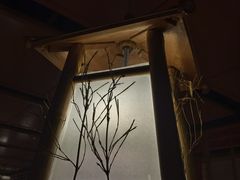 -庆春朴门