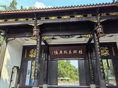 -桂湖森林公园