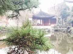 -艺圃