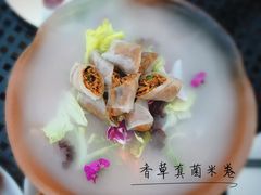 香草真菌米卷-梧桐餐厅(泉城路店)