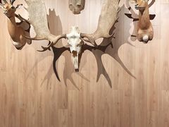 -陕西自然博物馆