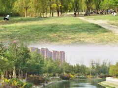 -东坝千亩湖公园