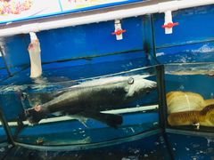 -渔中舟海鲜大排档(普陀沈家门店)