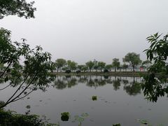 -无锡蠡湖国家湿地公园-蠡园