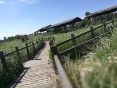 -野三坡百草畔景区