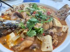 -煲来饱去冷水鱼