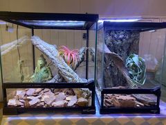 -Rabbit Cafe私房西餐甜点咖啡(栖霞路店)