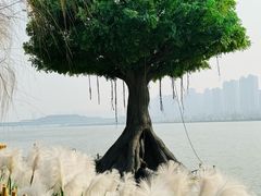 -咸阳湖景区